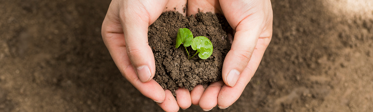 土壤和底質(zhì)檢測(cè)